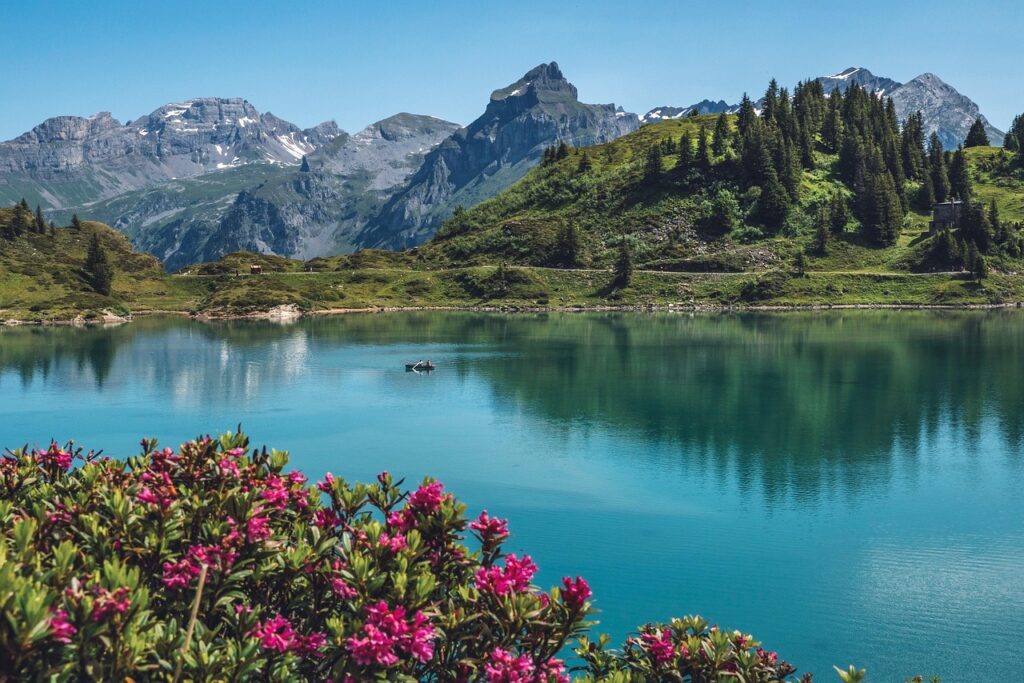 Switzerland, France & Netherlands trΓΌebsee, titlis, switzerland, panorama, alps, landscape, alpine roses, mountains, lake, hike, mountain lake, nature, reflection, water, switzerland, switzerland, switzerland, switzerland, switzerland, mountains, lake, lake, lake, lake
